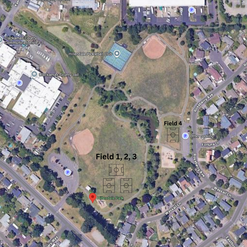Hillendale Park